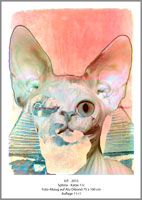 Sphinx-Katze 11c
